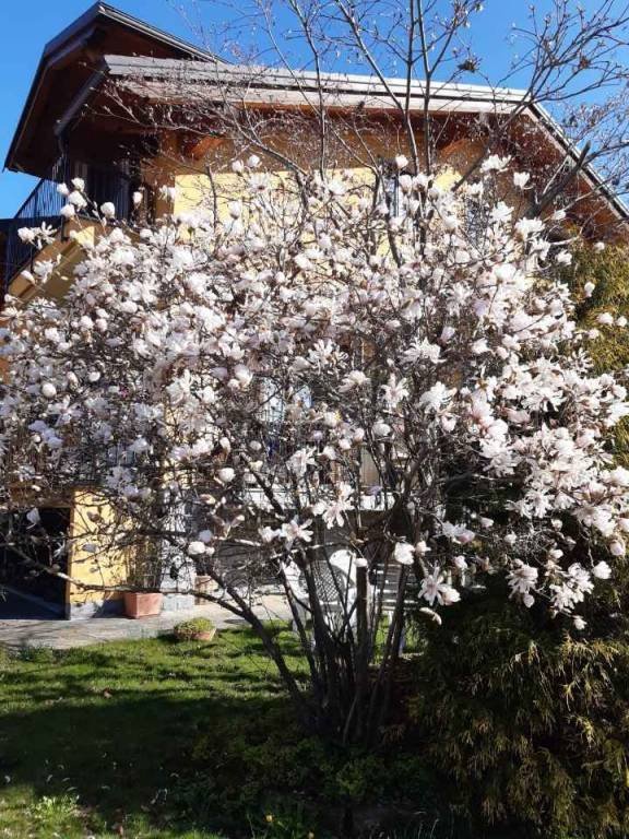casa indipendente in vendita a Cervasca in zona San Defendente