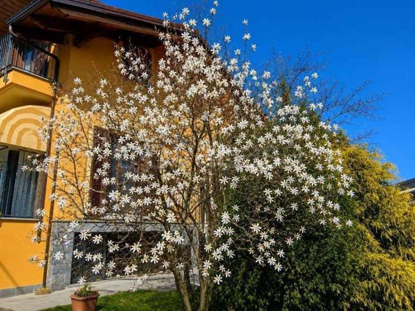 casa indipendente in vendita a Cervasca in zona San Defendente