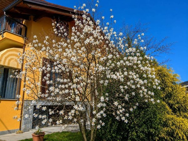 casa indipendente in vendita a Cervasca in zona San Defendente