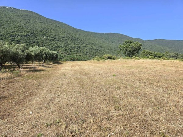 terreno agricolo in vendita a Capaccio Paestum