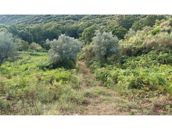 terreno agricolo in vendita a Capaccio Paestum