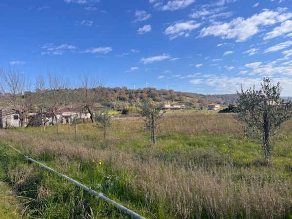 terreno agricolo in vendita a Capaccio Paestum