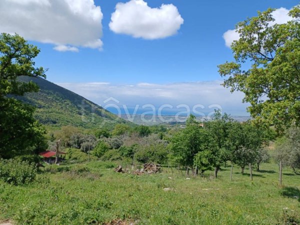 terreno agricolo in vendita a Capaccio Paestum