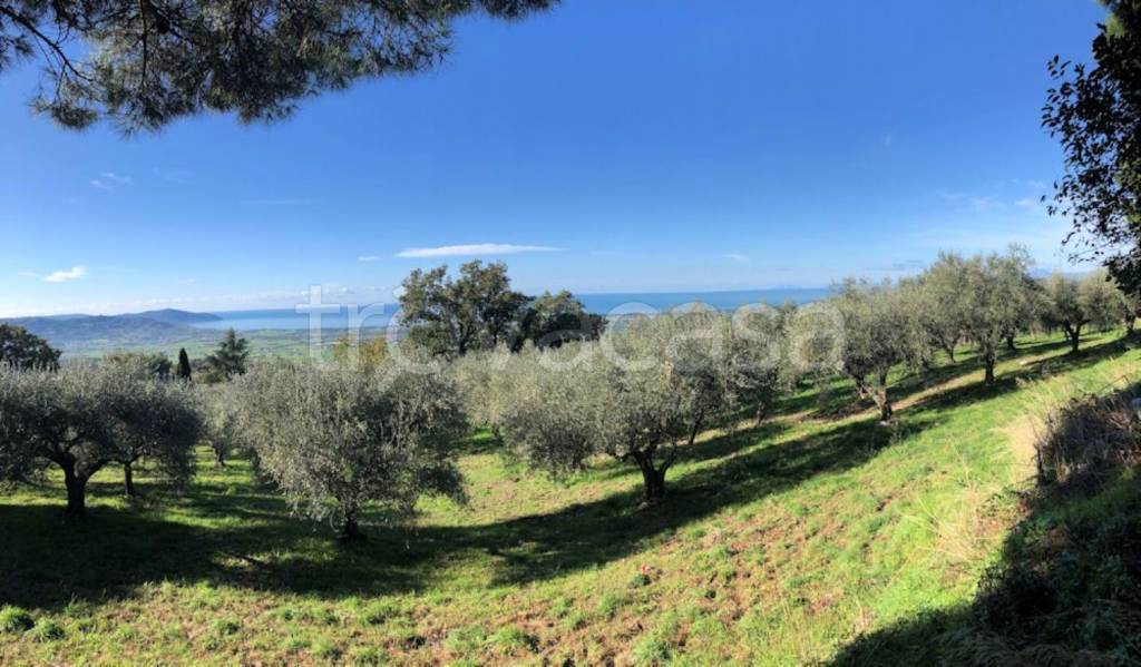 terreno agricolo in vendita a Capaccio Paestum