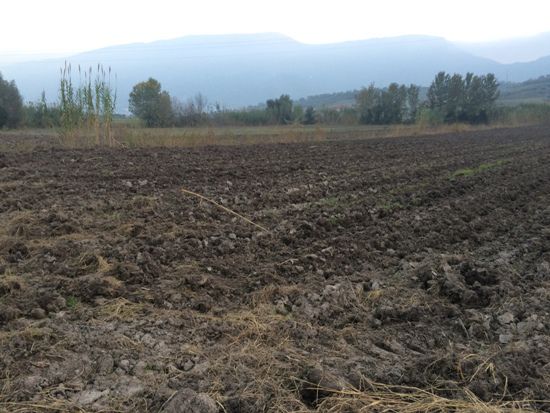 terreno agricolo in vendita a Capaccio Paestum