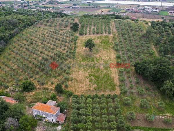 terreno agricolo in vendita a Capaccio Paestum