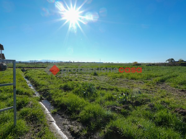 terreno agricolo in vendita a Capaccio Paestum in zona Capaccio Scalo