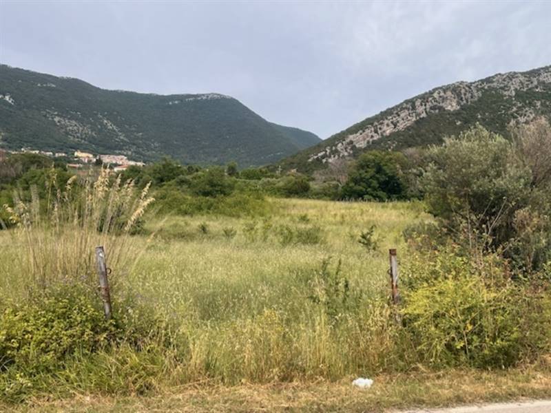 terreno agricolo in vendita a Capaccio Paestum