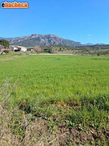 terreno agricolo in vendita a Capaccio Paestum