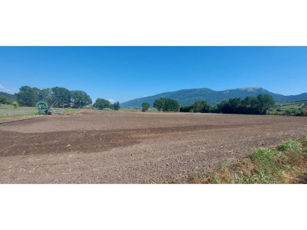 terreno agricolo in vendita a Capaccio Paestum