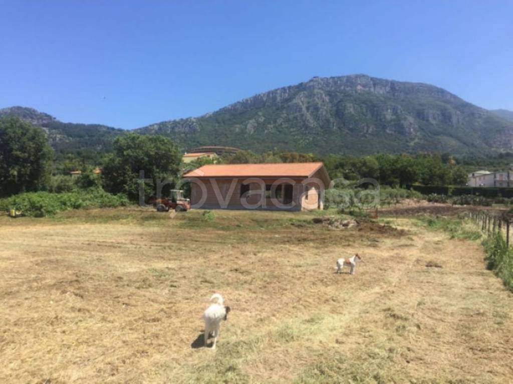 appartamento in vendita a Capaccio Paestum in zona Capo di Fiume