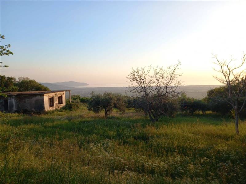 terreno agricolo in vendita a Capaccio Paestum in zona Capaccio Scalo
