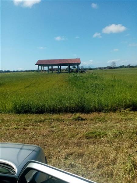 terreno agricolo in vendita a Capaccio Paestum in zona Gromola/Foce Sele