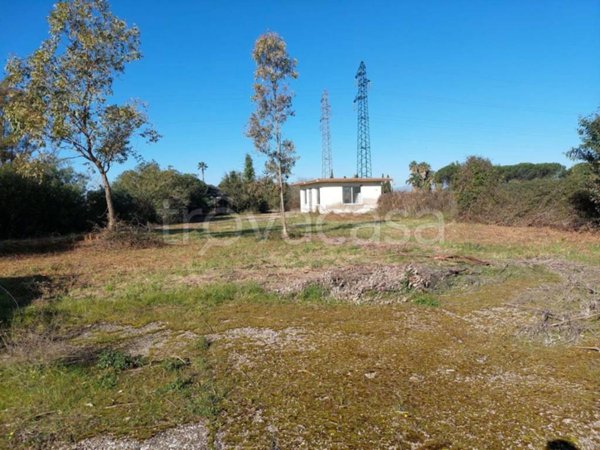 terreno agricolo in vendita a Capaccio Paestum in zona Cafasso/Borgo Nuovo