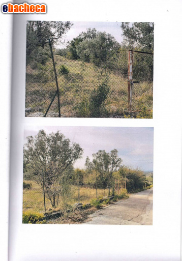 terreno agricolo in vendita a Capaccio Paestum