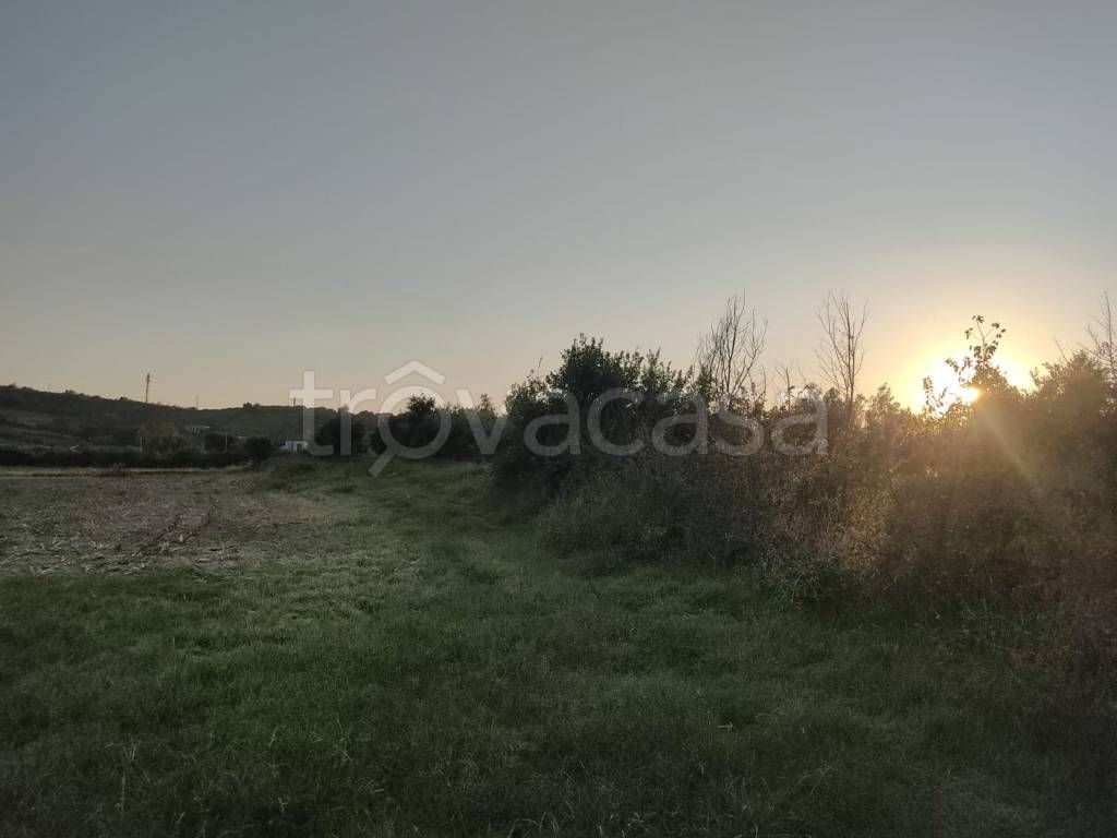terreno agricolo in vendita a Capaccio Paestum