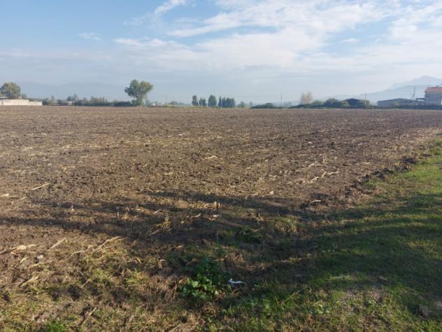 terreno agricolo in vendita a Capaccio Paestum