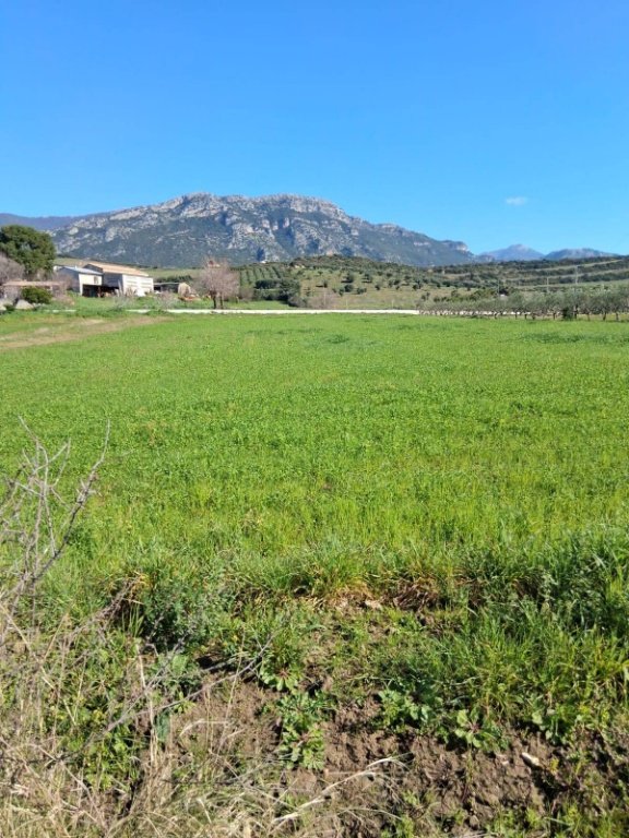 terreno agricolo in vendita a Capaccio Paestum