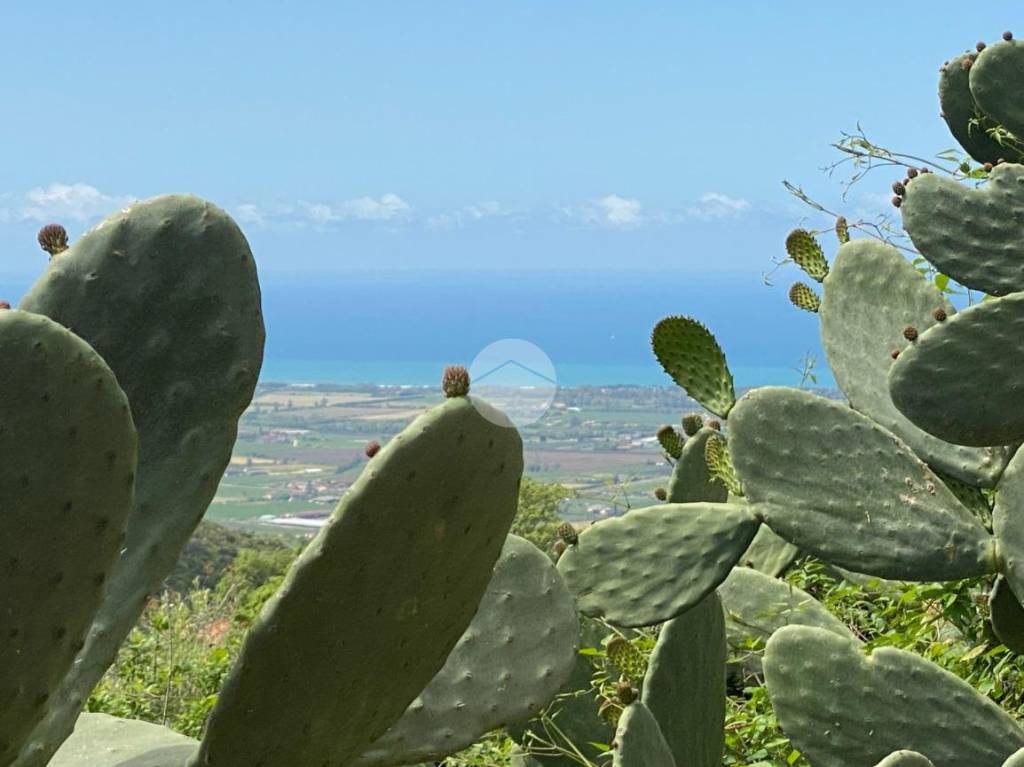 appartamento in vendita a Capaccio Paestum