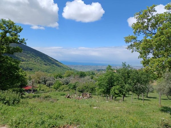 terreno agricolo in vendita a Capaccio Paestum