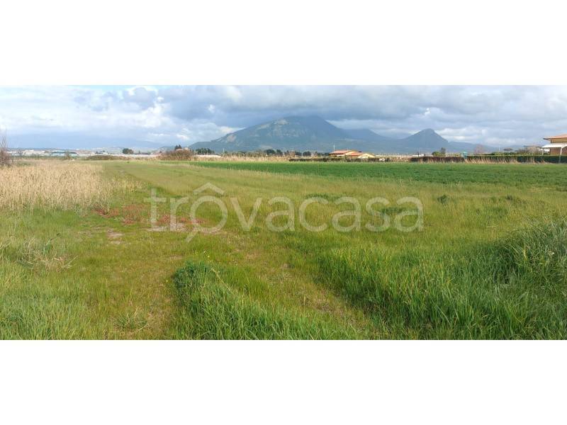 terreno agricolo in vendita a Capaccio Paestum