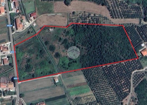 terreno agricolo in vendita a Capaccio Paestum