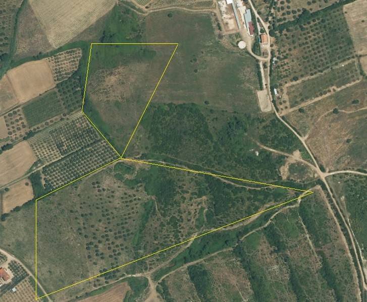 terreno agricolo in vendita a Capaccio Paestum