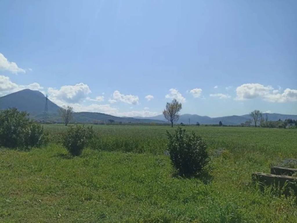 terreno agricolo in vendita a Capaccio Paestum