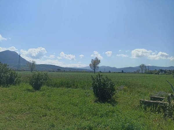 terreno agricolo in vendita a Capaccio Paestum