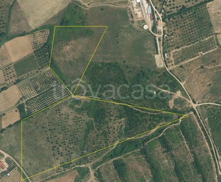 terreno agricolo in vendita a Capaccio Paestum