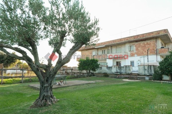 appartamento in vendita a Capaccio Paestum in zona Capaccio Scalo