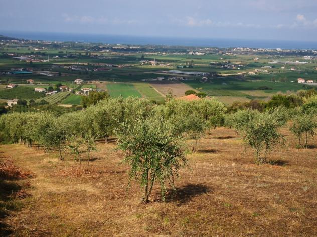 terreno agricolo in vendita a Capaccio Paestum