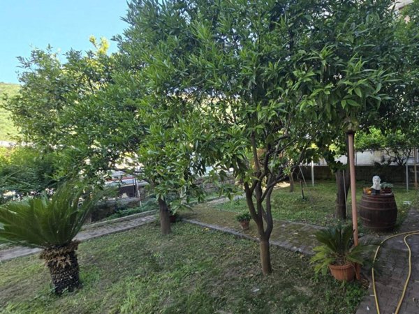 casa indipendente in vendita a Capaccio Paestum in zona Torre/Licinella