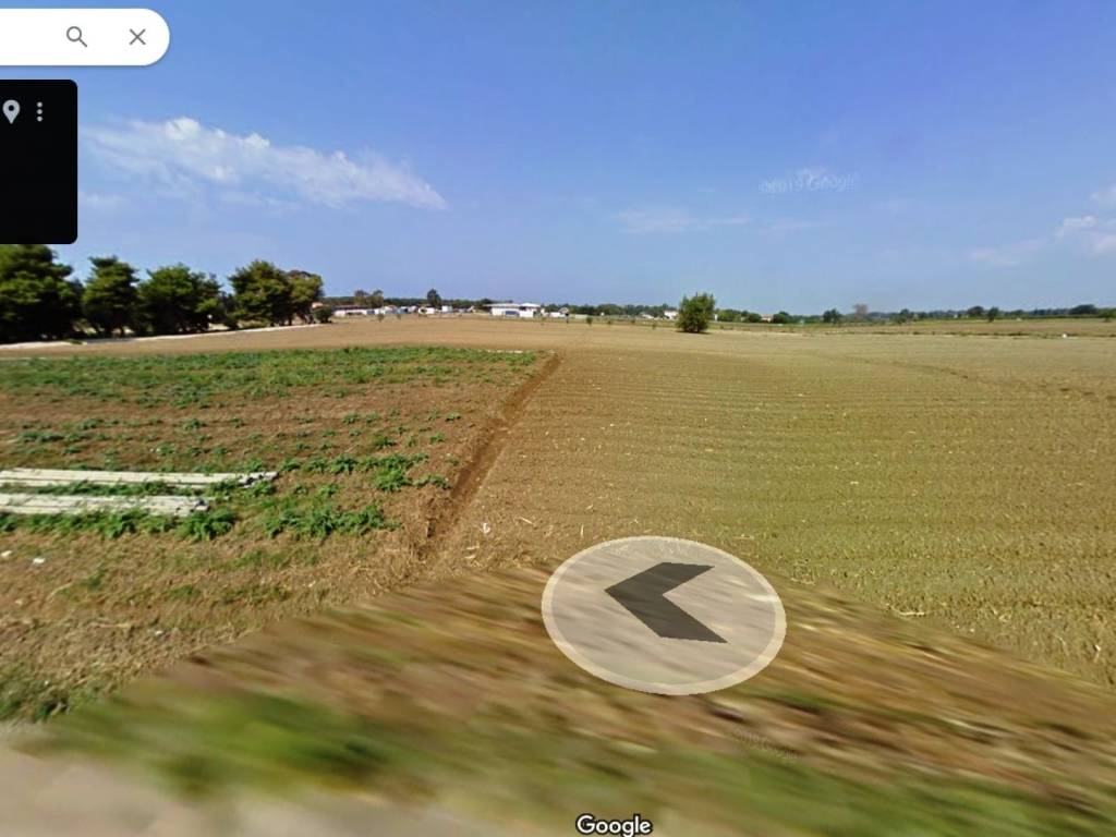 terreno agricolo in vendita a Capaccio Paestum