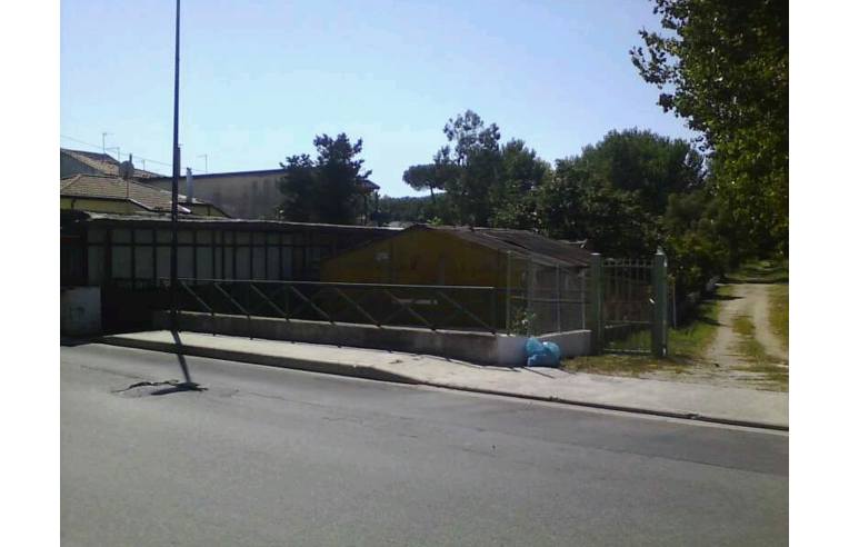 casa indipendente in vendita a Capaccio Paestum in zona Torre/Licinella