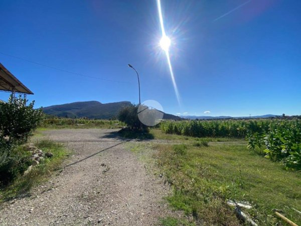 terreno agricolo in vendita a Capaccio Paestum