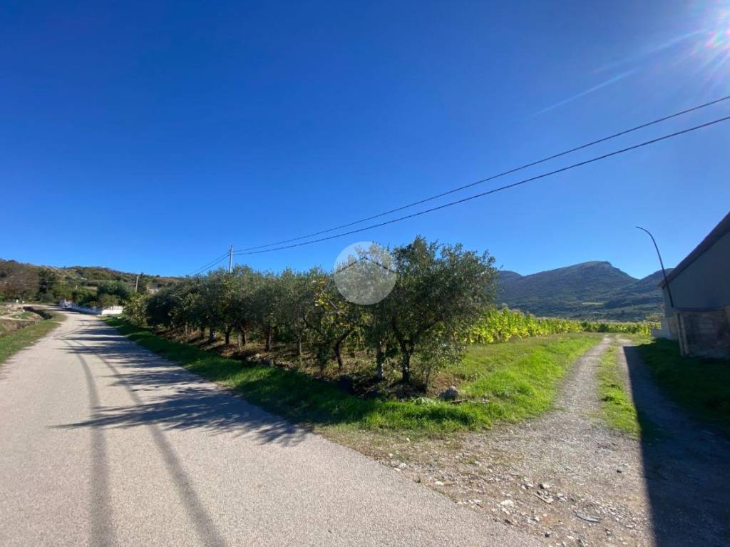terreno agricolo in vendita a Capaccio Paestum