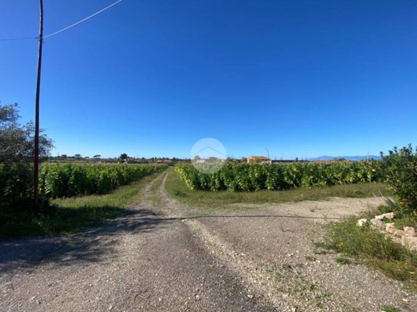 terreno agricolo in vendita a Capaccio Paestum in zona Gromola/Foce Sele