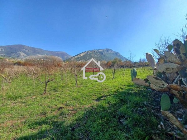 terreno agricolo in vendita a Capaccio Paestum
