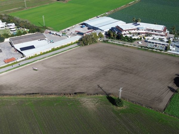 terreno agricolo in vendita a Capaccio Paestum