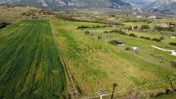 terreno agricolo in vendita a Capaccio Paestum