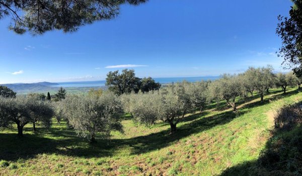 terreno edificabile in vendita a Capaccio Paestum