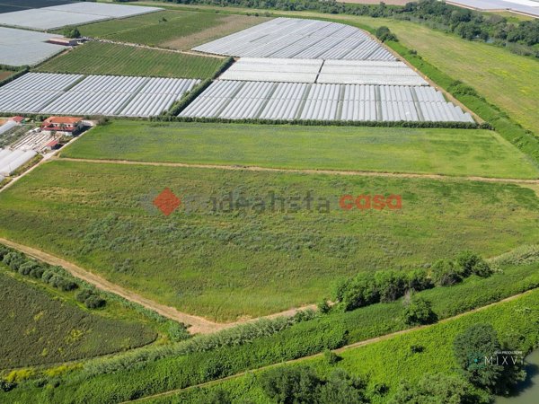 terreno agricolo in vendita a Capaccio Paestum