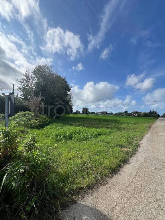 terreno agricolo in vendita a Capaccio Paestum in zona Capaccio Scalo