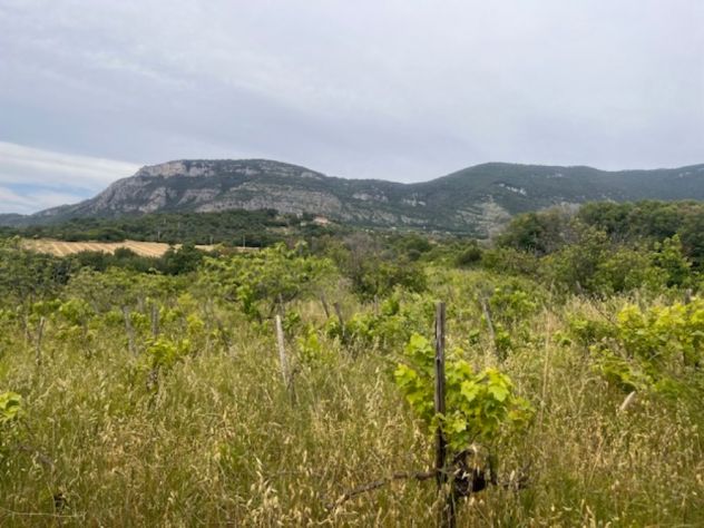 terreno agricolo in vendita a Capaccio Paestum