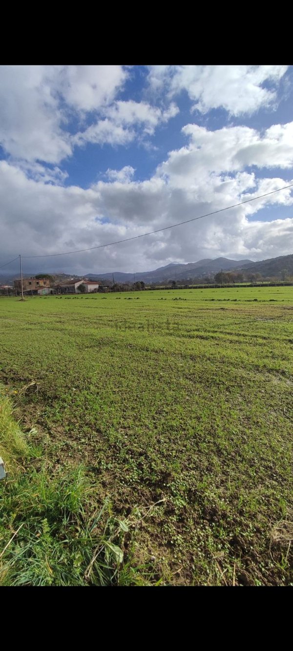 terreno agricolo in vendita a Capaccio Paestum