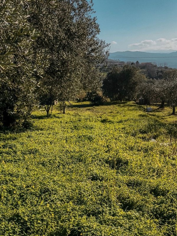 casa indipendente in vendita a Capaccio Paestum
