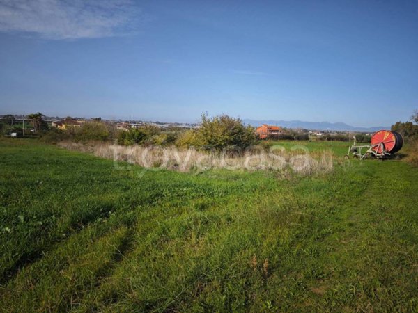 terreno agricolo in vendita a Capaccio Paestum