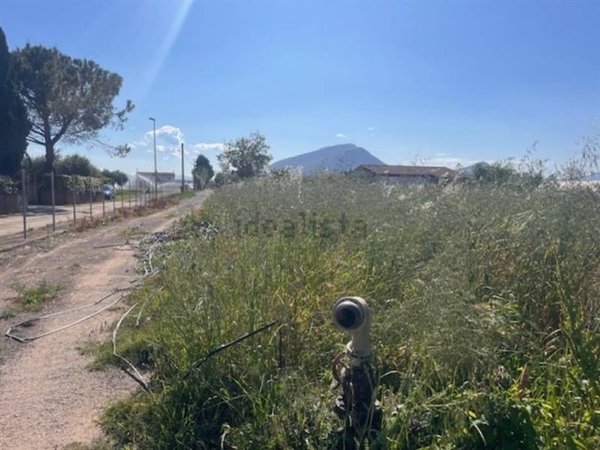 terreno agricolo in vendita a Capaccio Paestum in zona Capaccio Scalo