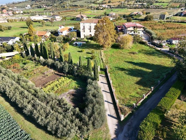 esavano in vendita a Capaccio Paestum